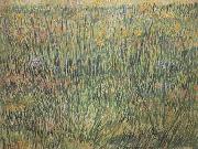 Vincent Van Gogh, Pasture in Bloom (nn04)